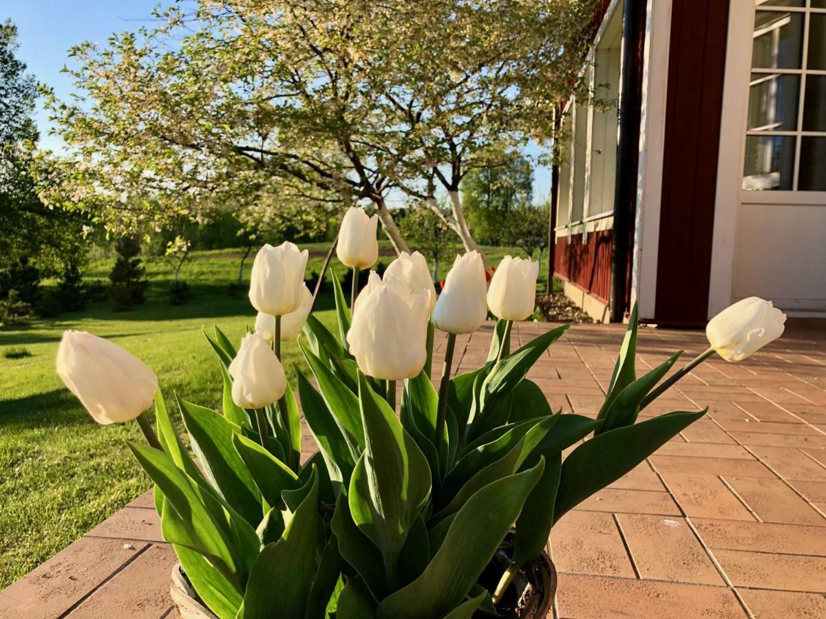 Villa Sofia Boutique Trakai Esterno foto